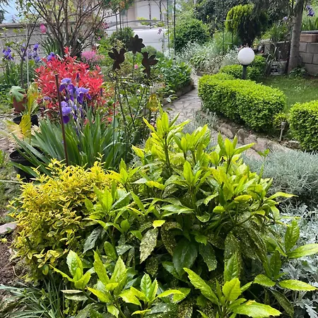 Evksinograd Apartament