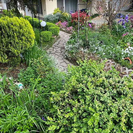 Evksinograd Apartament