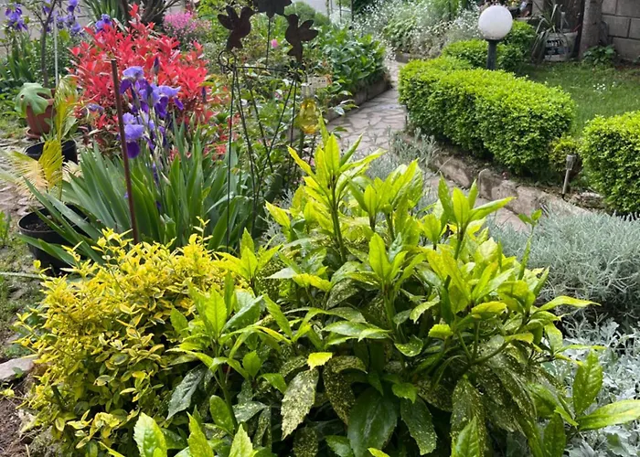 Evksinograd Appartement