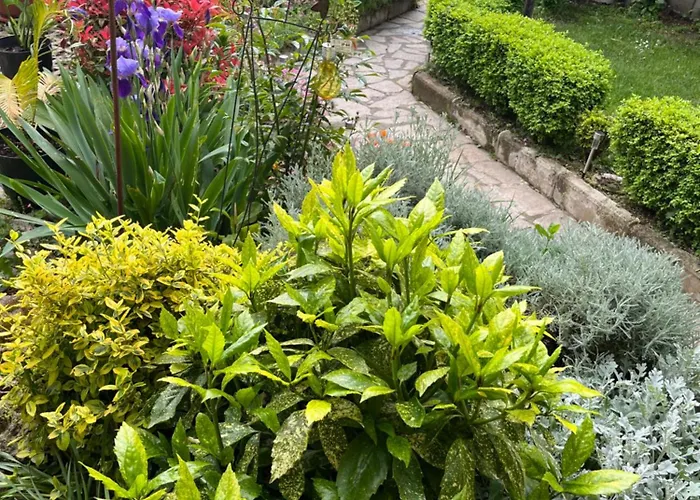 Appartement Evksinograd Varna