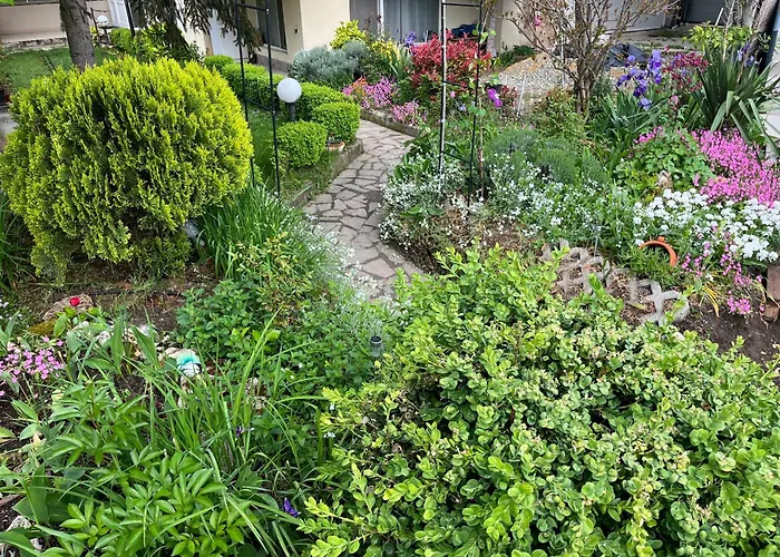 Evksinograd Apartment